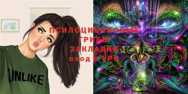 наркотики Няндома