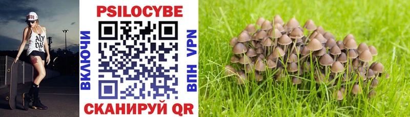 Псилоцибиновые грибы GOLDEN TEACHER  Сухиничи 